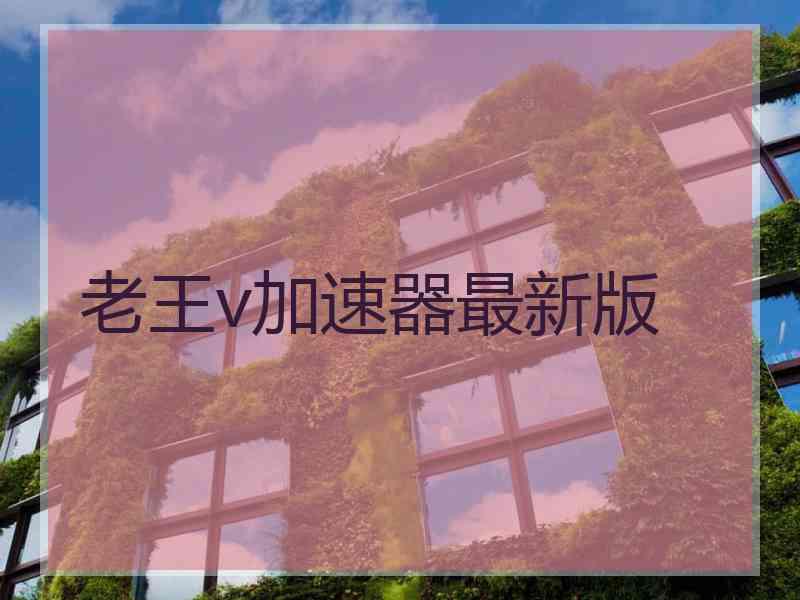 老王v加速器最新版