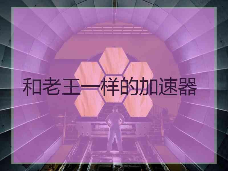和老王一样的加速器