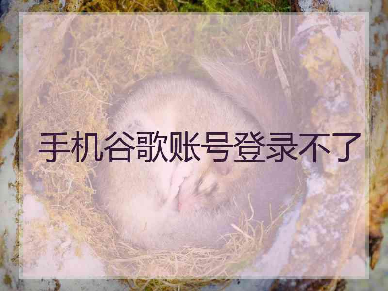 手机谷歌账号登录不了