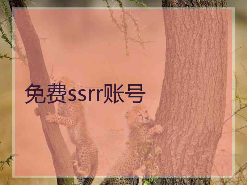免费ssrr账号