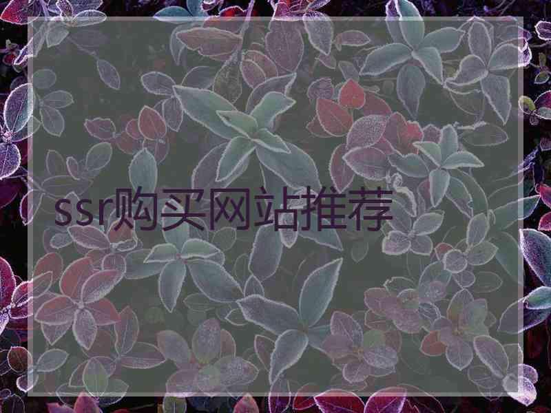 ssr购买网站推荐