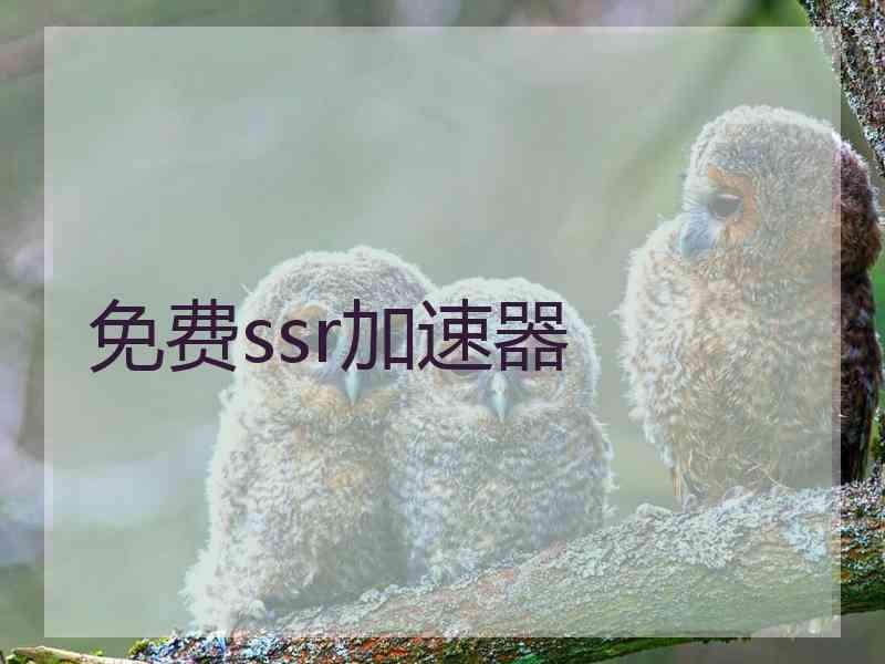 免费ssr加速器