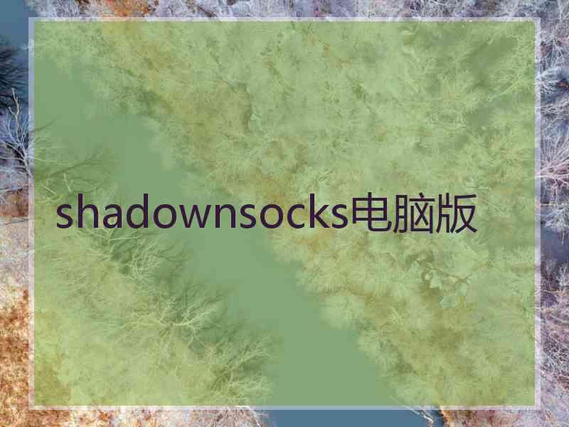 shadownsocks电脑版