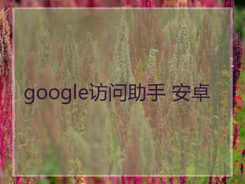 google访问助手 安卓