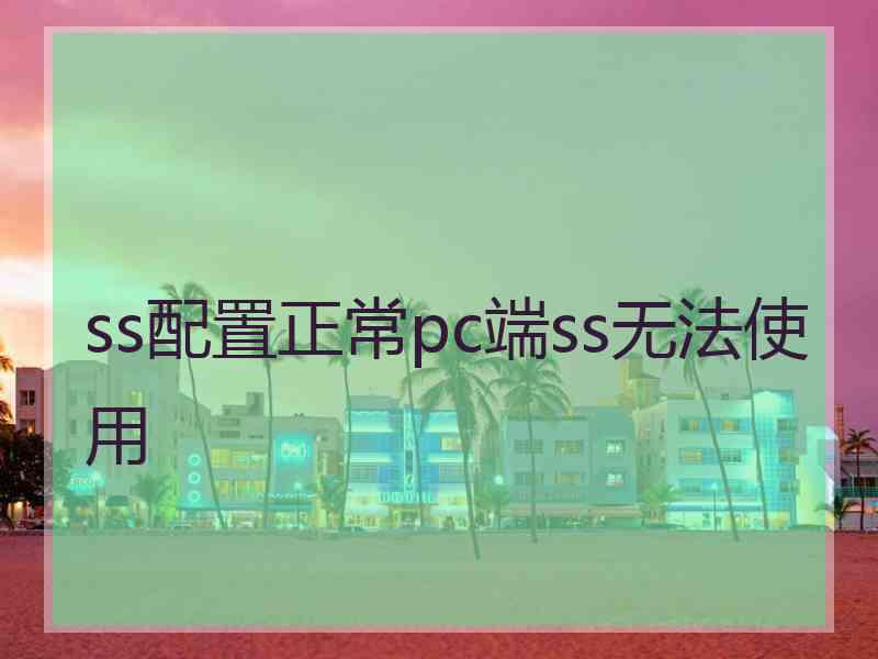 ss配置正常pc端ss无法使用