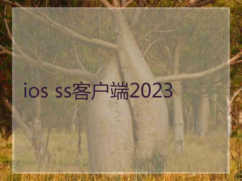 ios ss客户端2023