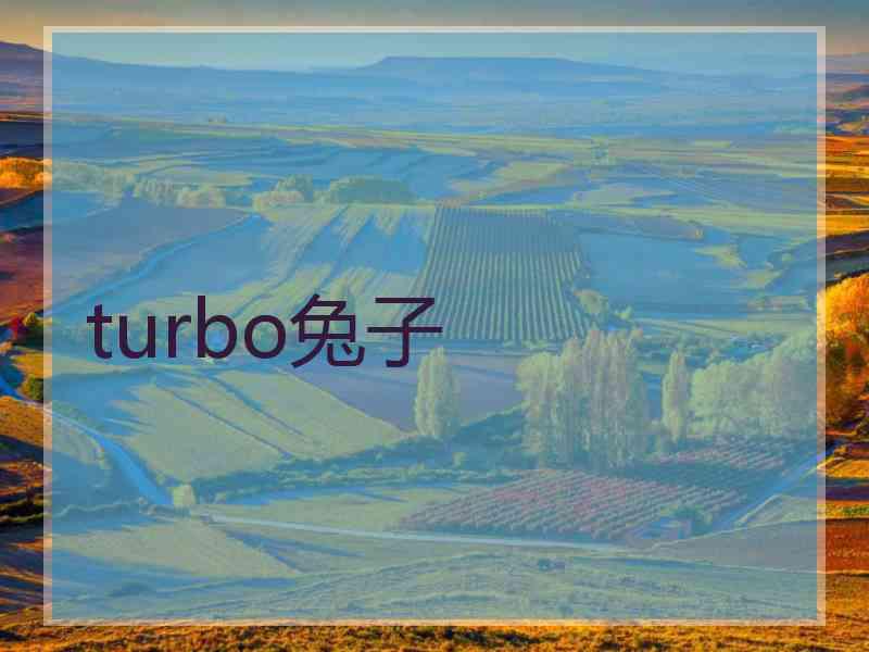 turbo兔子
