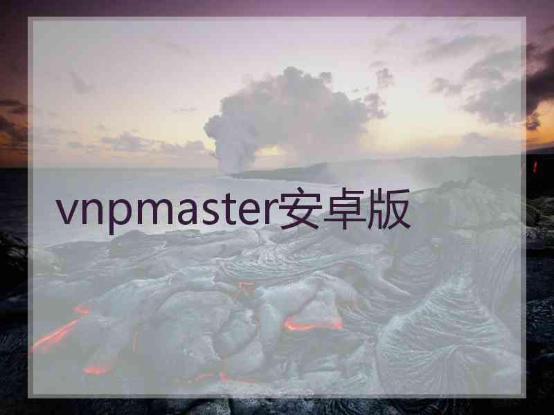 vnpmaster安卓版