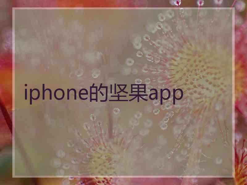 iphone的坚果app