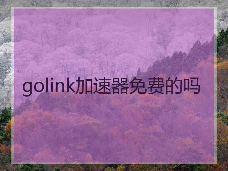 golink加速器免费的吗