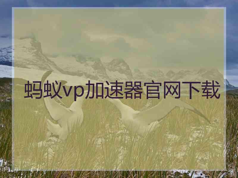蚂蚁vp加速器官网下载