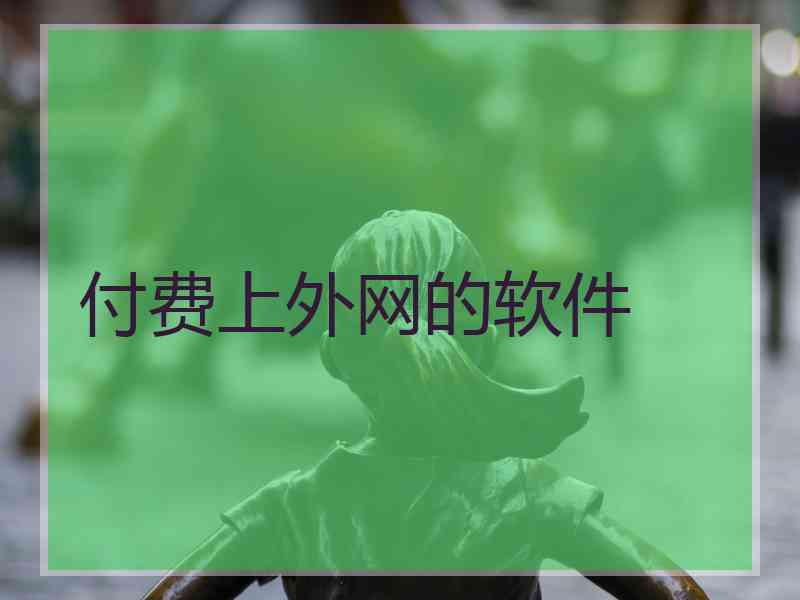 付费上外网的软件
