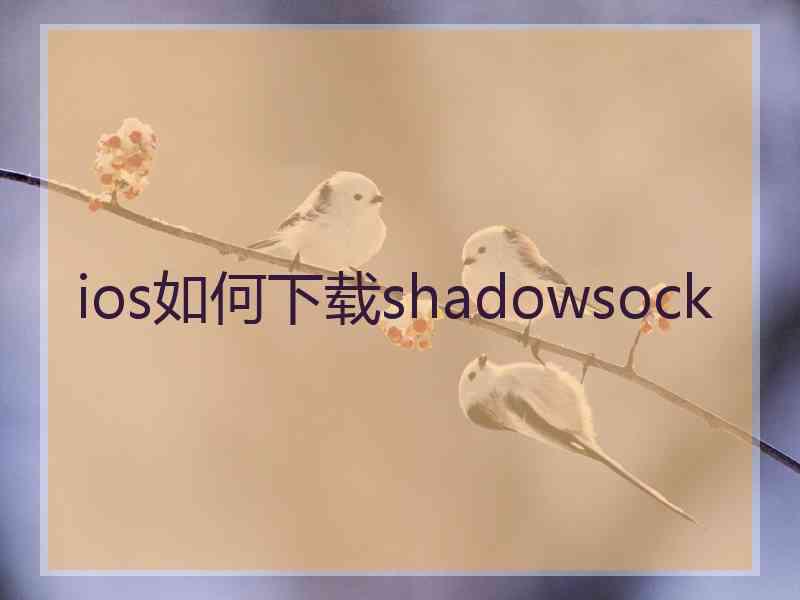 ios如何下载shadowsock