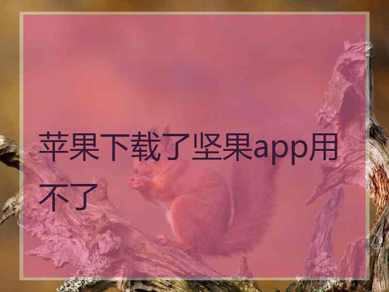苹果下载了坚果app用不了