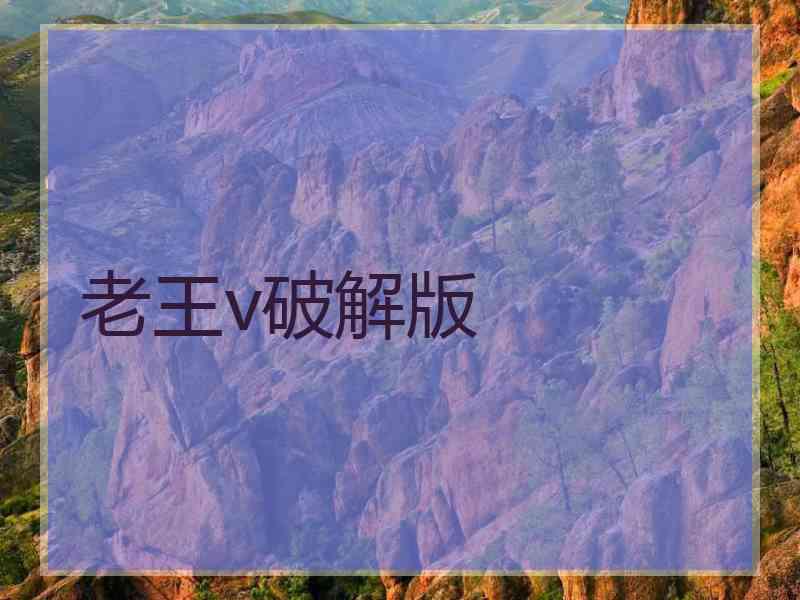 老王v破解版