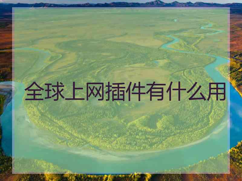 全球上网插件有什么用