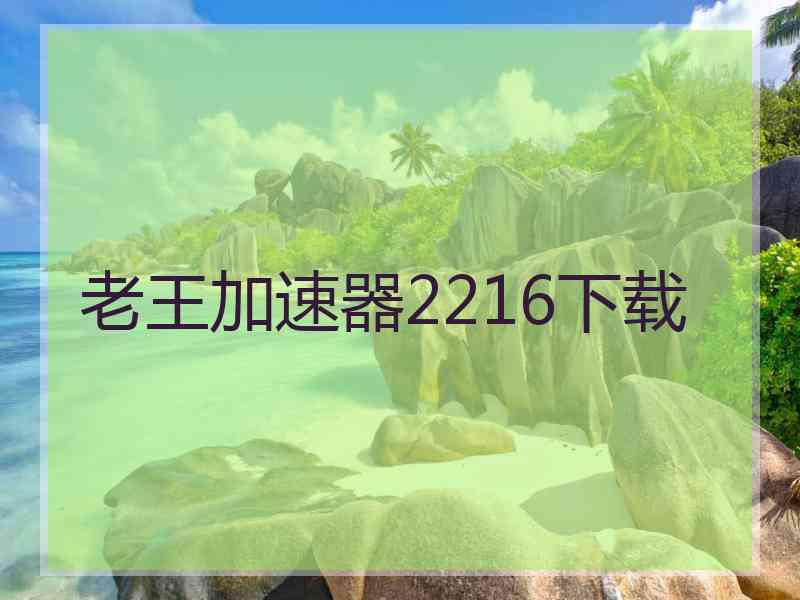 老王加速器2216下载