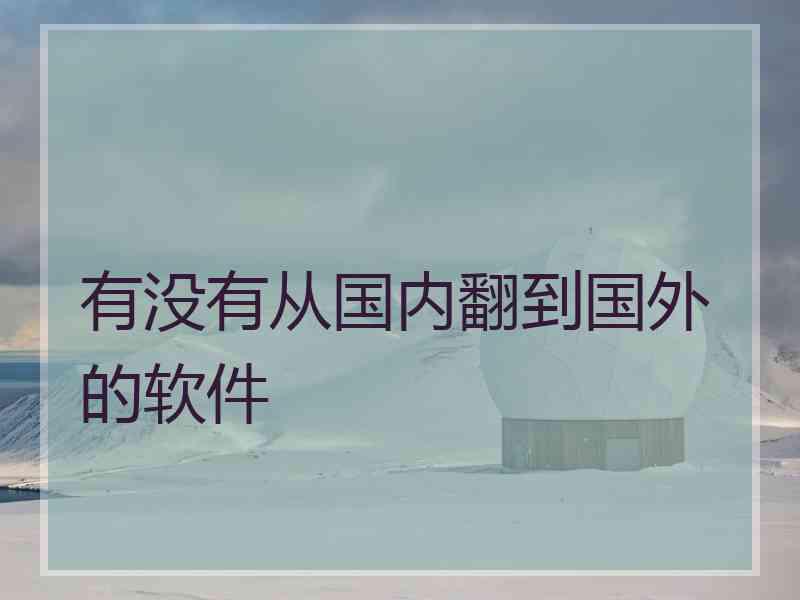 有没有从国内翻到国外的软件