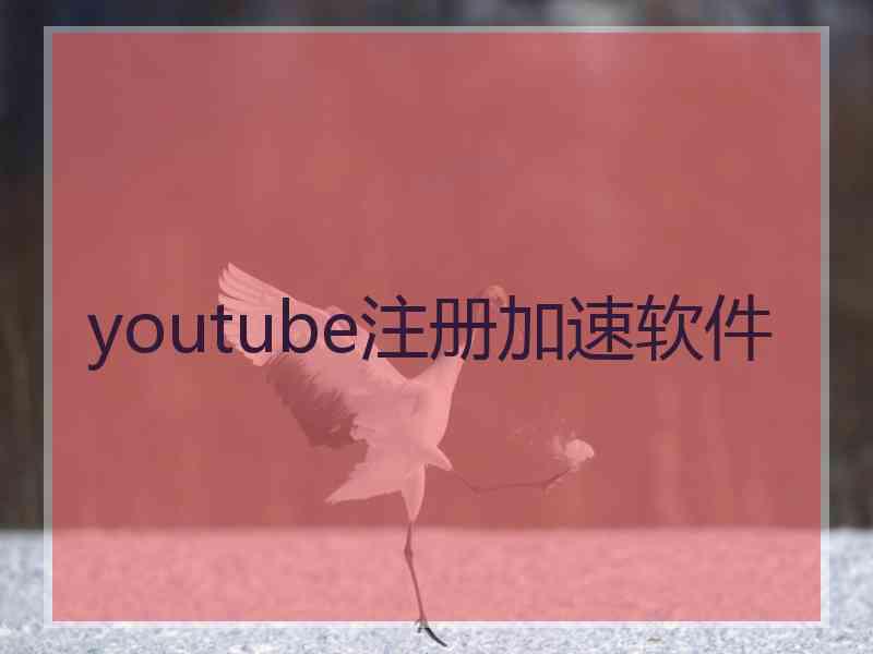 youtube注册加速软件