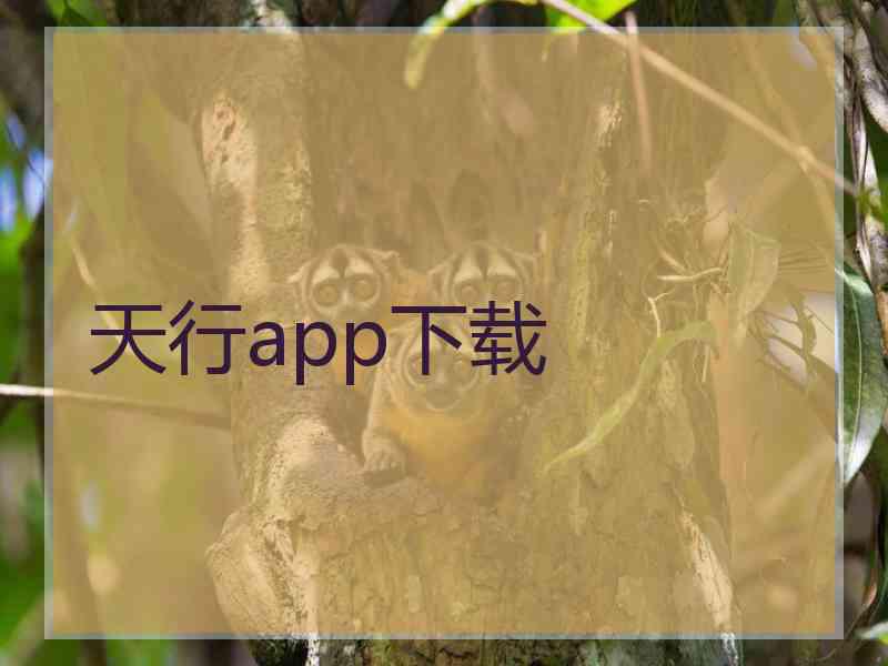 天行app下载