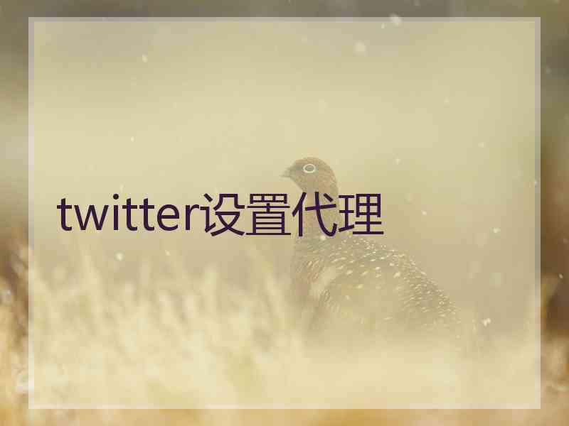 twitter设置代理