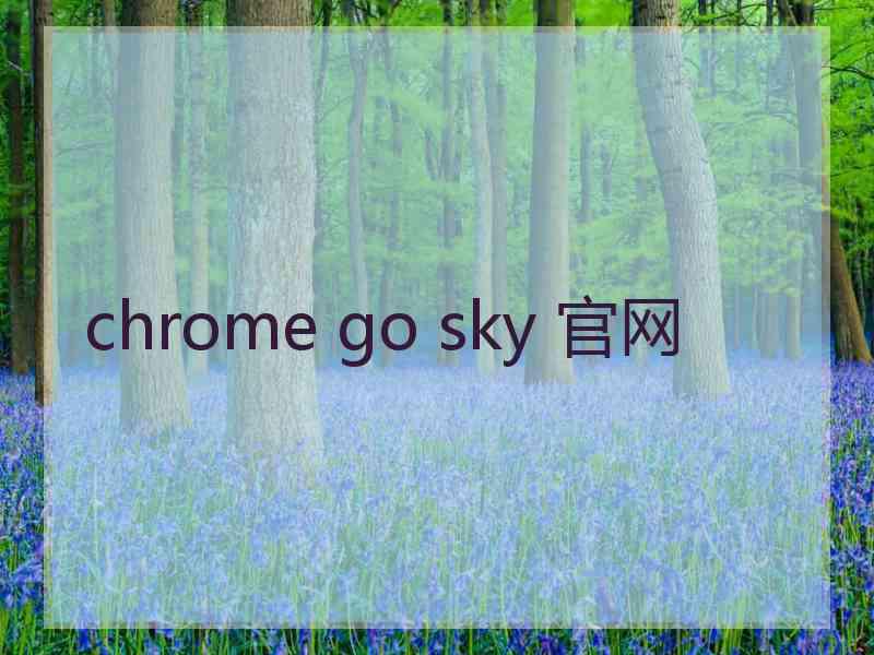 chrome go sky 官网