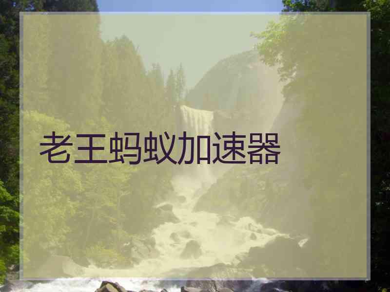 老王蚂蚁加速器