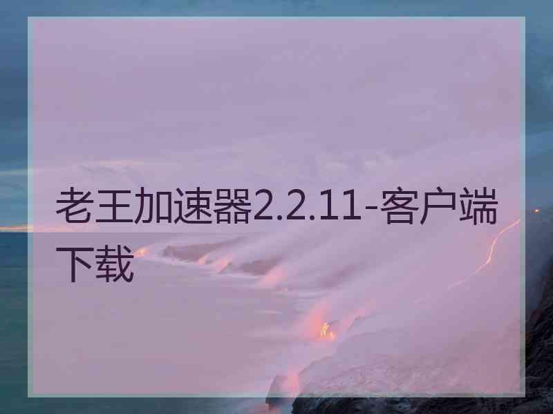老王加速器2.2.11-客户端下载