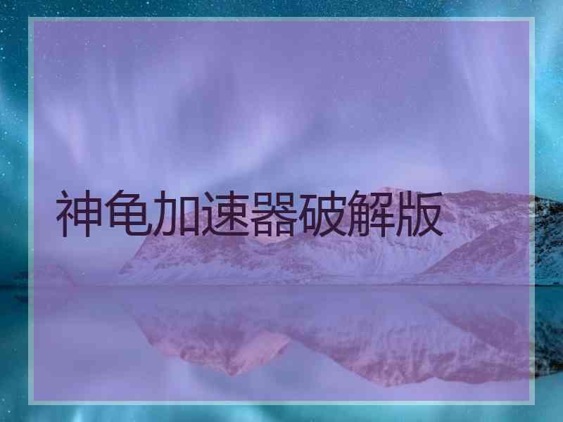 神龟加速器破解版