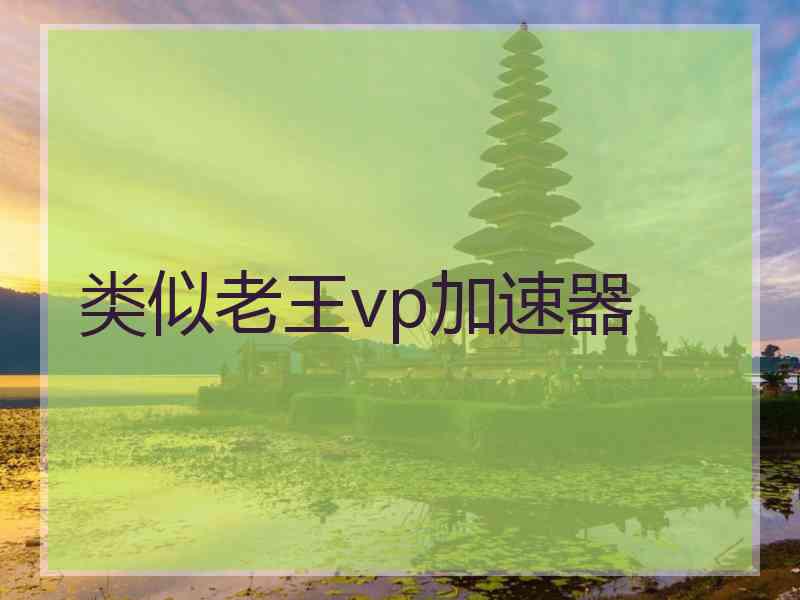 类似老王vp加速器
