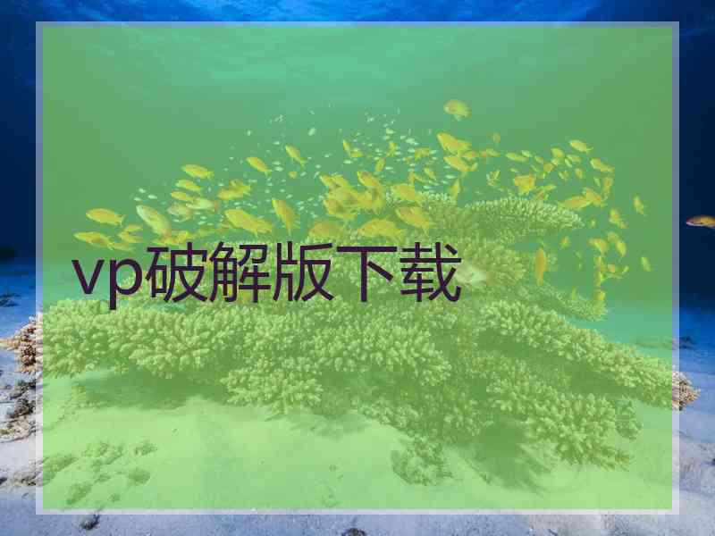 vp破解版下载
