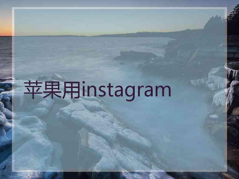 苹果用instagram