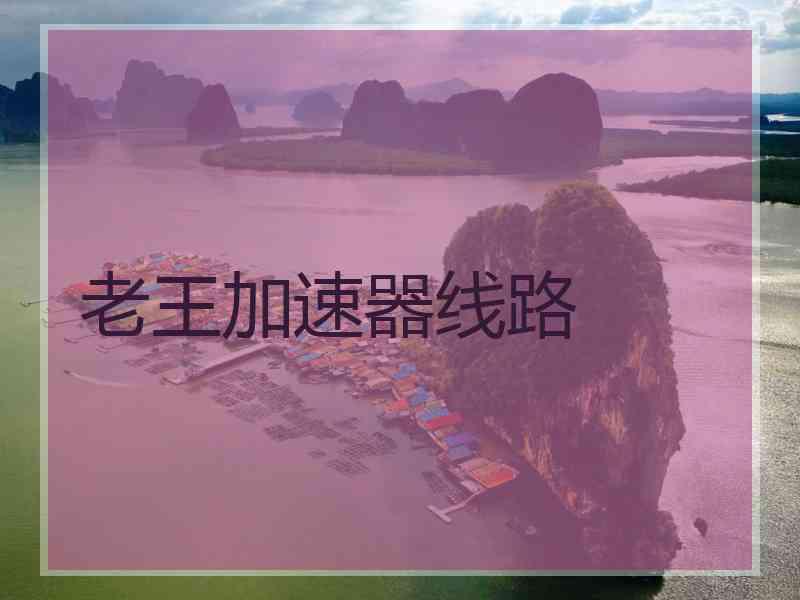 老王加速器线路