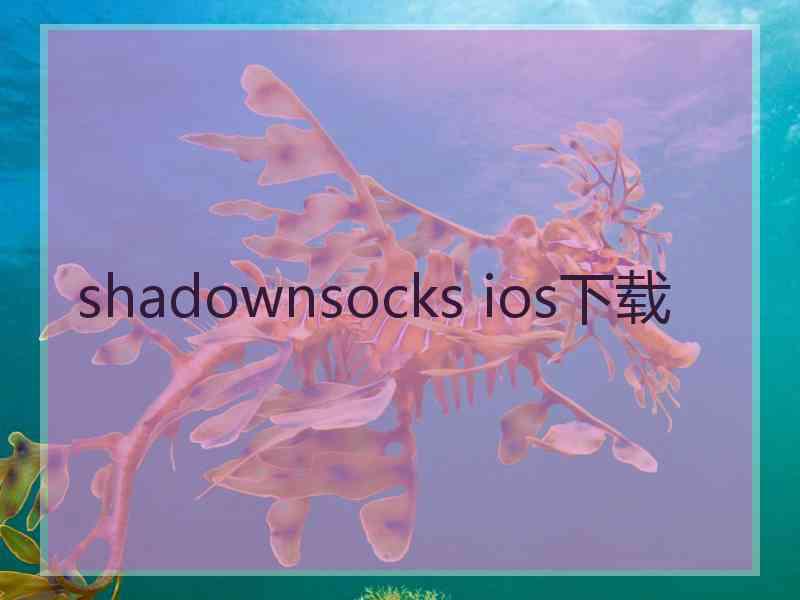shadownsocks ios下载