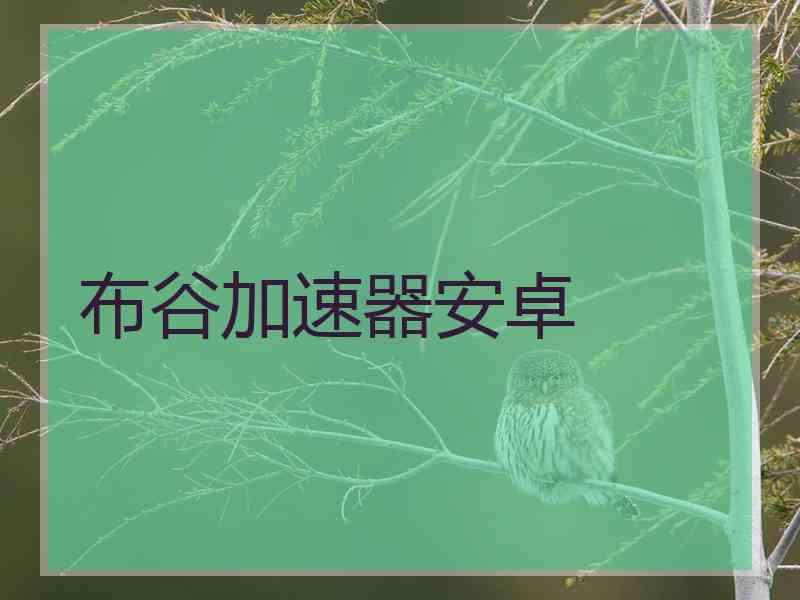 布谷加速器安卓