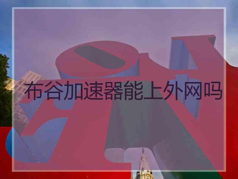 布谷加速器能上外网吗