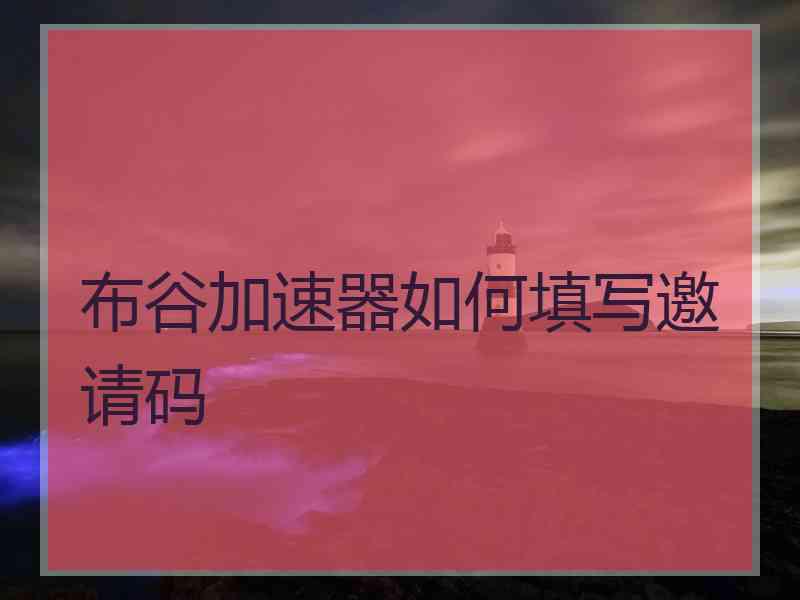 布谷加速器如何填写邀请码