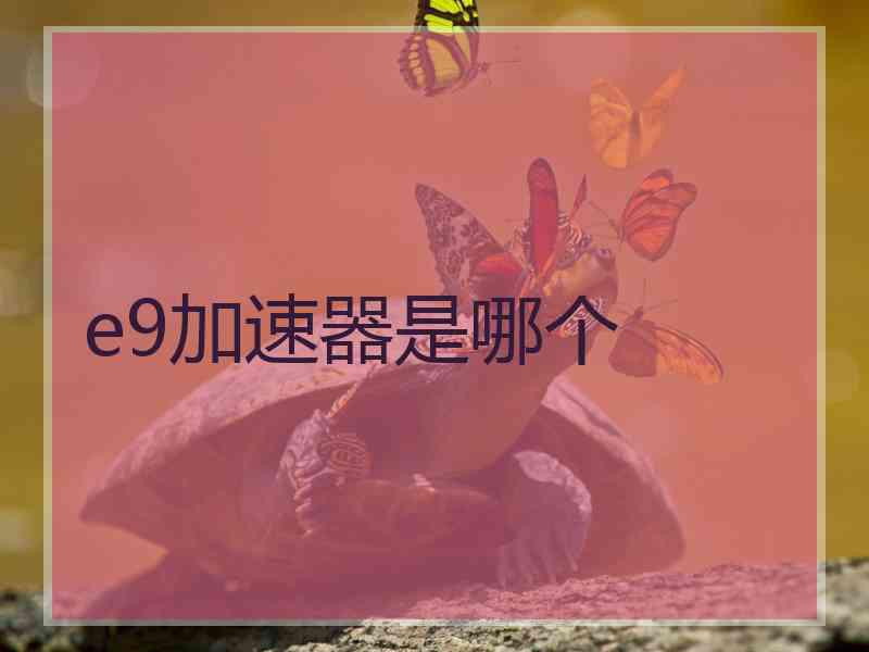 e9加速器是哪个