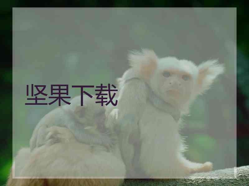坚果下载