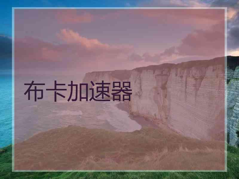 布卡加速器