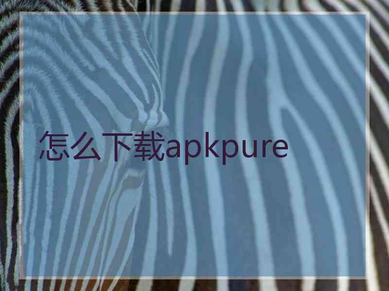 怎么下载apkpure