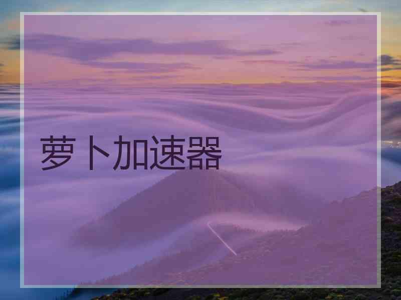 萝卜加速器