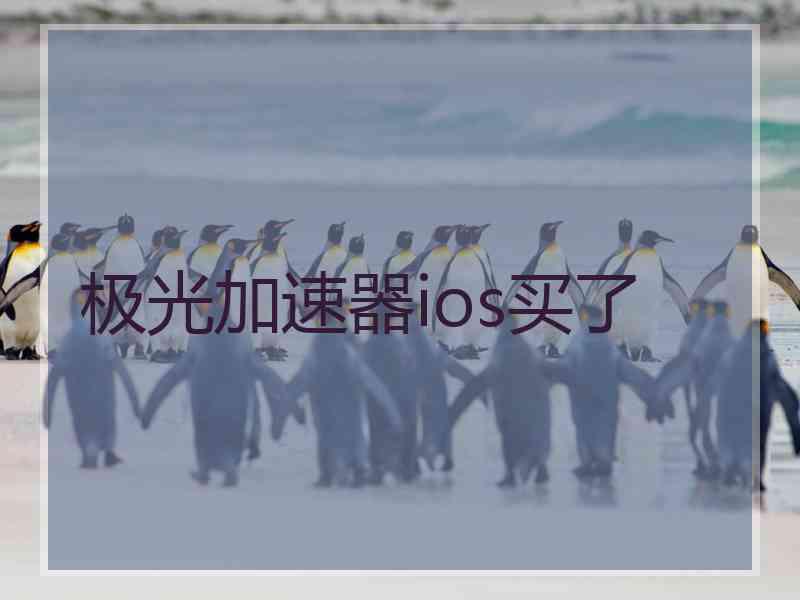 极光加速器ios买了