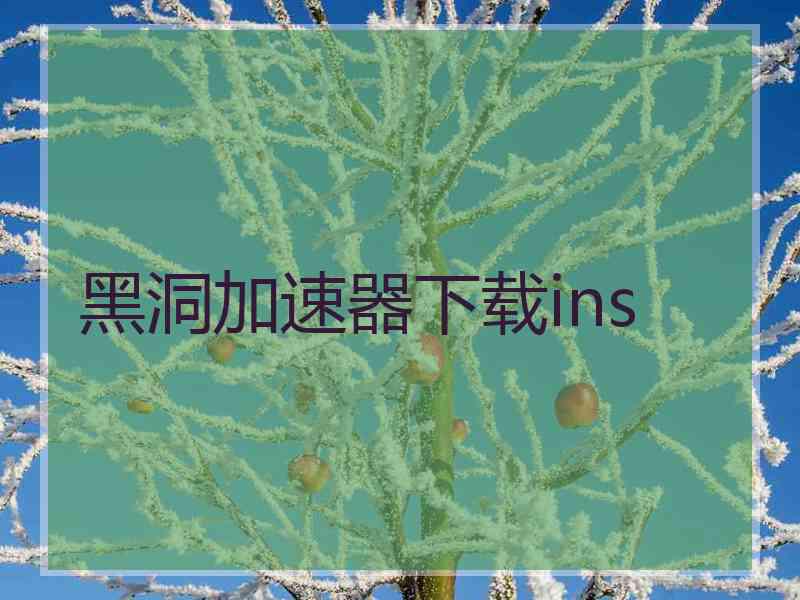 黑洞加速器下载ins