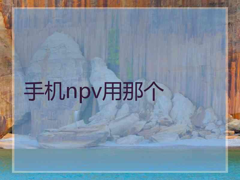 手机npv用那个