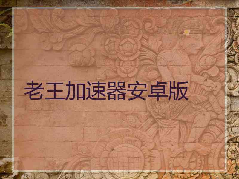 老王加速器安卓版