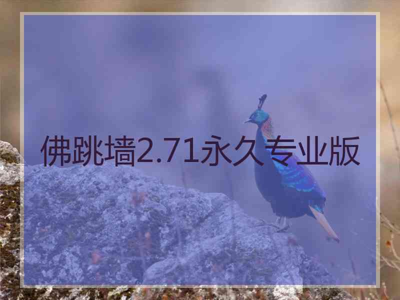 佛跳墙2.71永久专业版