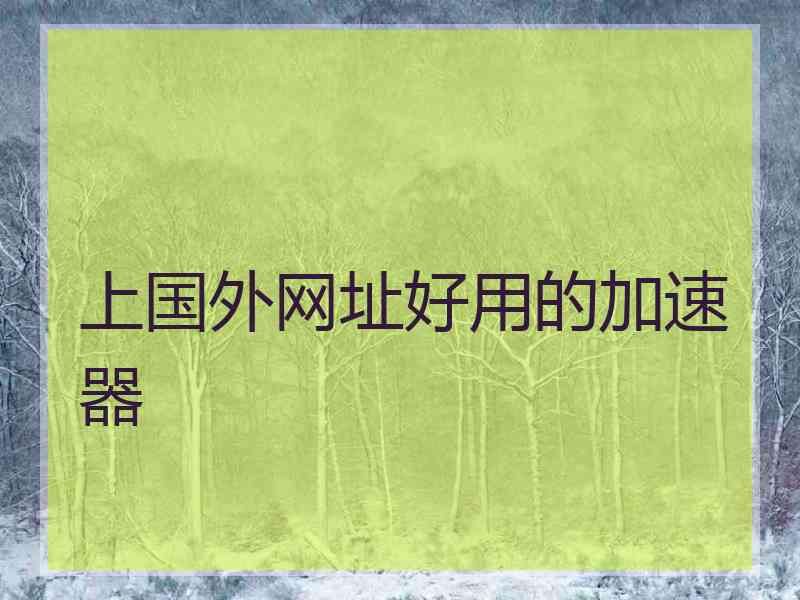 上国外网址好用的加速器