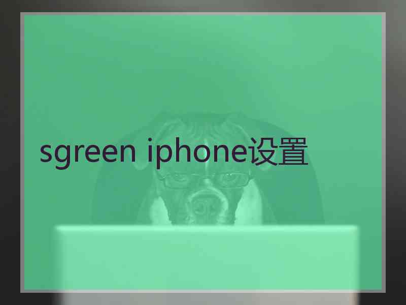 sgreen iphone设置