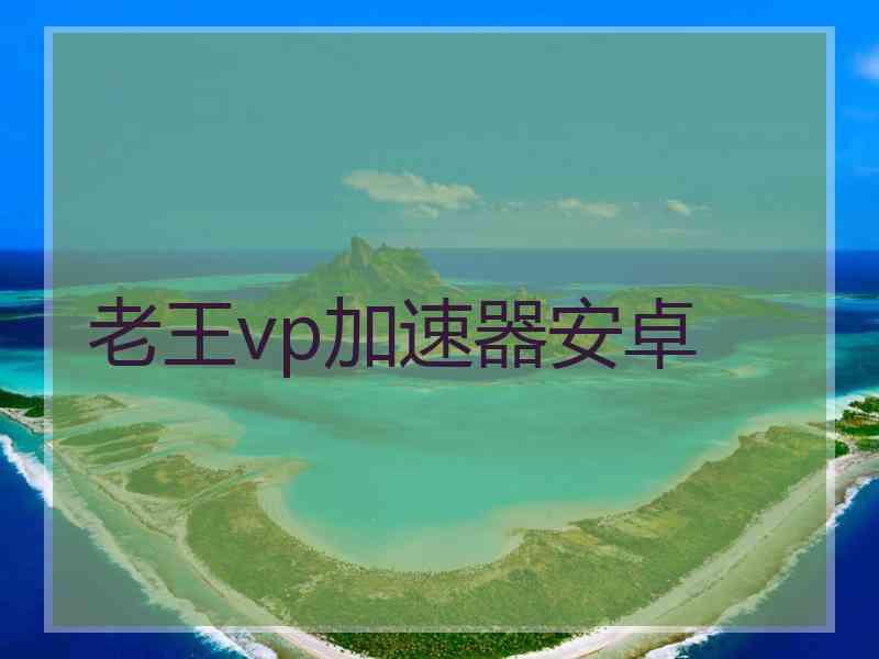 老王vp加速器安卓